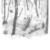 The Seeker - Image 3